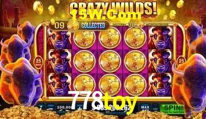 778toy Salvador - Football